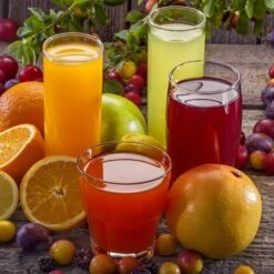 Manuelle Fruchtsaftpresse - Schwarz - Mit Behälter -Beste Küchengeräte Geschäfte 636846174454043353 74af 1