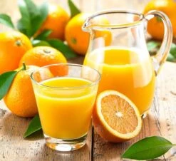 Orangenpresse - Automatische Zufuhr 15 Orangenpresse - Automatische Zufuhr -Beste Küchengeräte Geschäfte 636846200473083465 7e6f