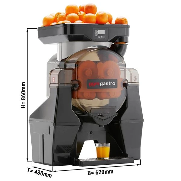 Elektrische Orangenpresse - Silber - Manuelle Zufuhr 3 Elektrische Orangenpresse - Silber - Manuelle Zufuhr