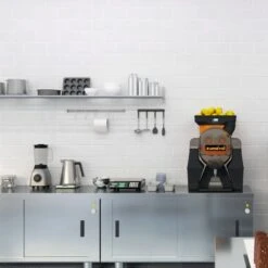 Elektrische Fruchtsaftpresse - Orange - Manuelle Zufuhr -Beste Küchengeräte Geschäfte OBZ Big room b865 2