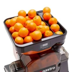 Elektrische Fruchtsaftpresse - Orange - Manuelle Zufuhr - Inkl. Automatischem Reinigungsmodus -Beste Küchengeräte Geschäfte OBZ detail insertion tube 858b 6