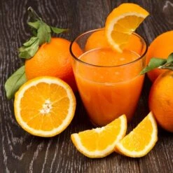 Orangenpresse -Beste Küchengeräte Geschäfte orangensaft52 d7fb